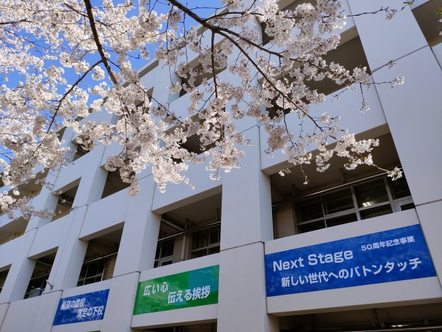 IMG20240410084350.jpg